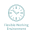 FLEXIBLE-WORKING